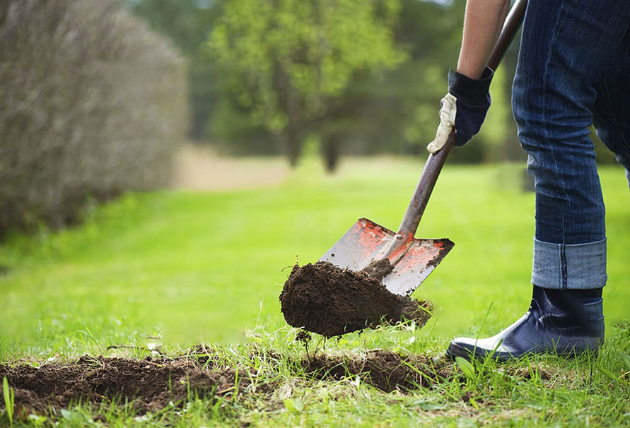 Deputize Native America App